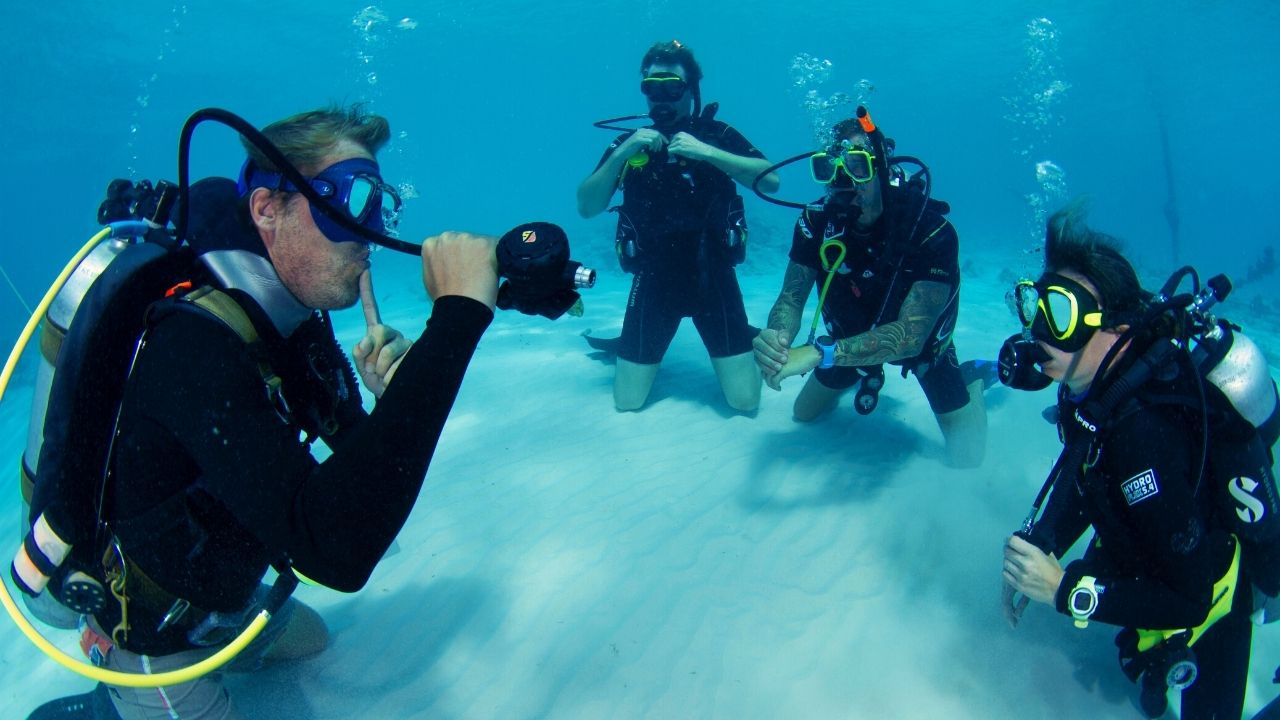 padi curacao