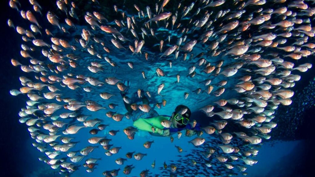 blue room curacao