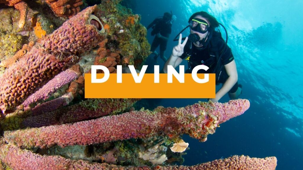 Diving curacao