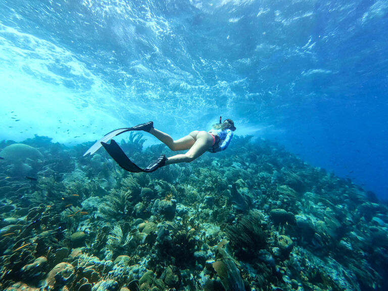 snorkeling curacao