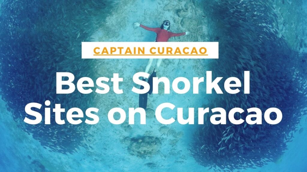 best snorkel sites