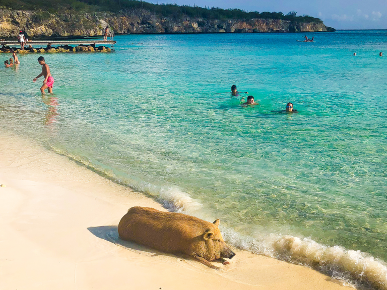 snorkeling curacao